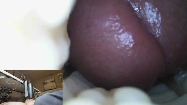 xoxowtf 20-06-2026 Male Recording - lovense suck